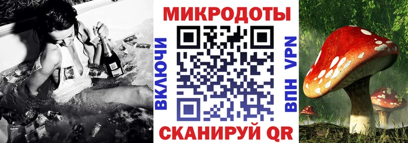 что такое   Ясный  Галлюциногенные грибы прущие грибы 